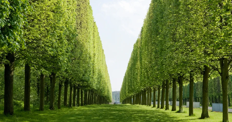 20 Best Budget-Friendly Things to Do in Paris